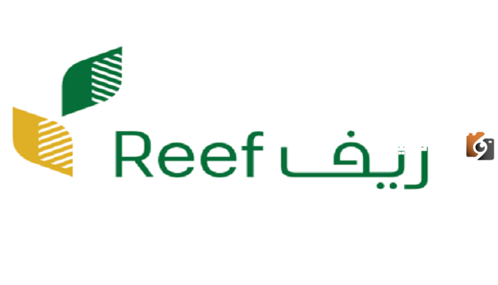 هل يمكن التقديم لدعم ريف دون مشروع؟ وكم رسوم العقوبة؟