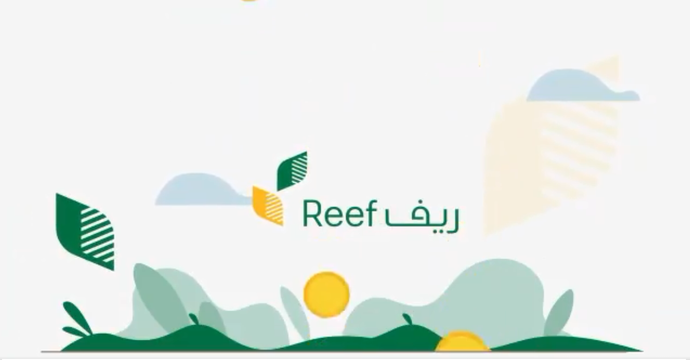 وزارة الزراعة توضح شروط حصول النساء على دعم ريف المقدم من الوزارة