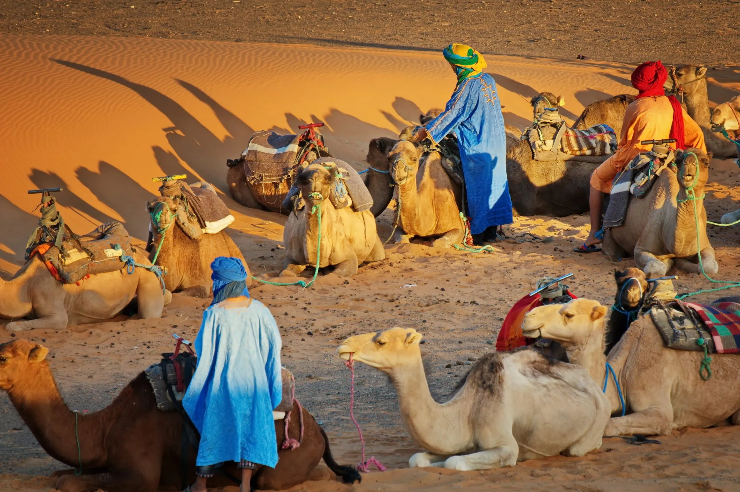 وش يرجعون عائلة الفهيد وما نسبهم