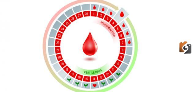 مدة الدورة الشهرية عند المرأة المتزوجة تختلف عن العزباء