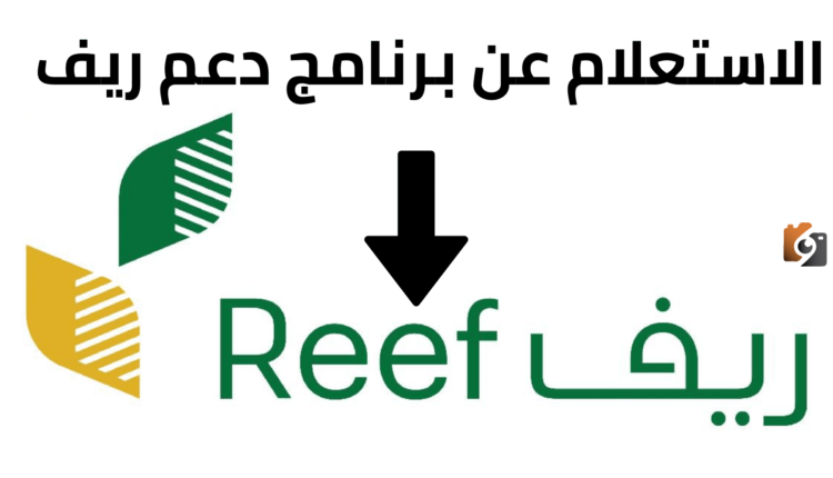 مع اقتراب موعد الصرف ريف يُعلن عن خطوات الاستعلام المفصلة عن الدعم