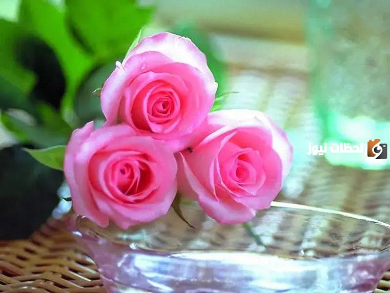 أجمل خلفيات ورد طبيعي مكتوب عليها