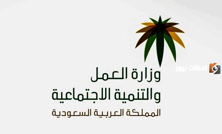 اريد الان معرفة عدد العمالة على كفالتي فما هي الطريقة بالخطوات