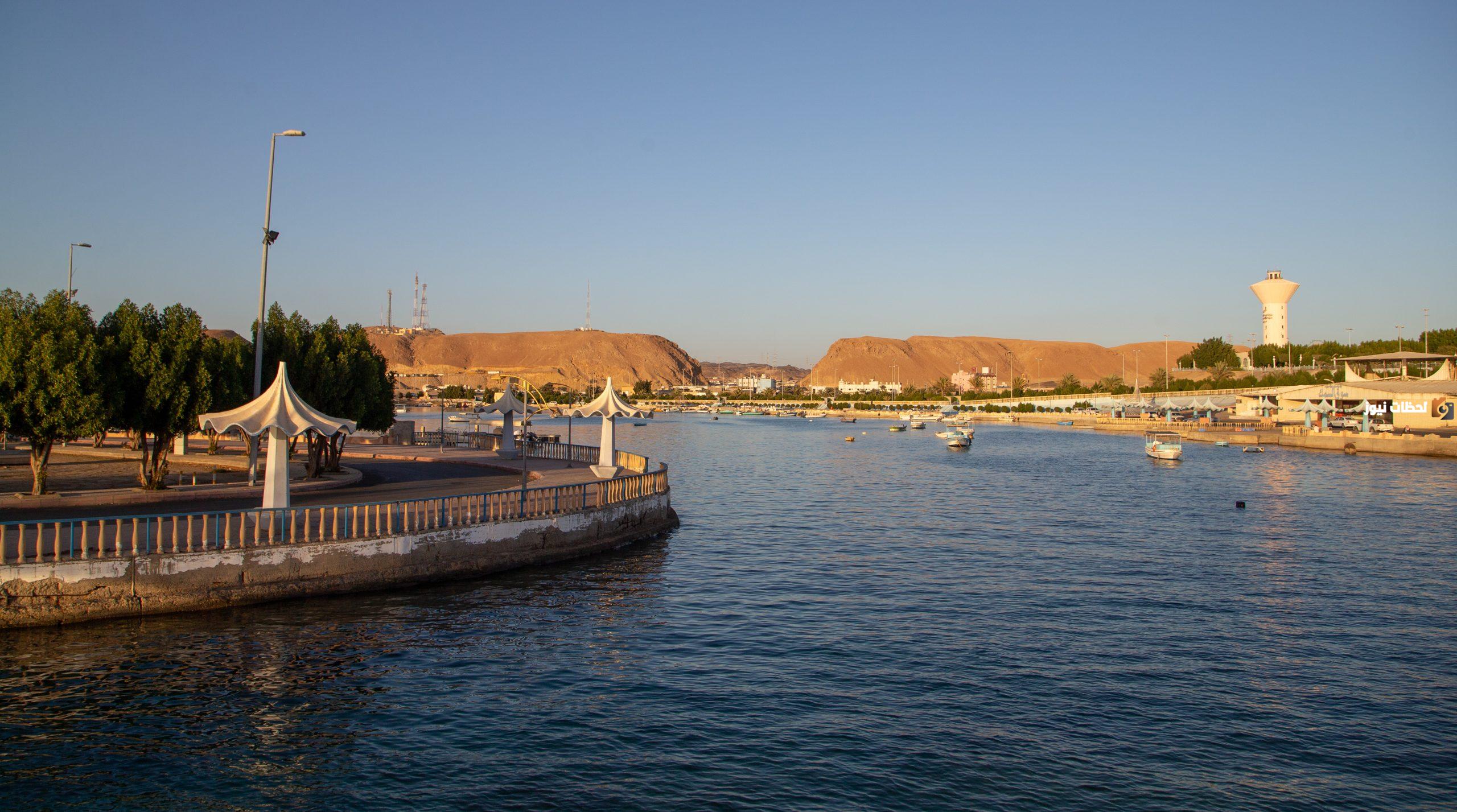 اسماء مدينة بحرف الضاد