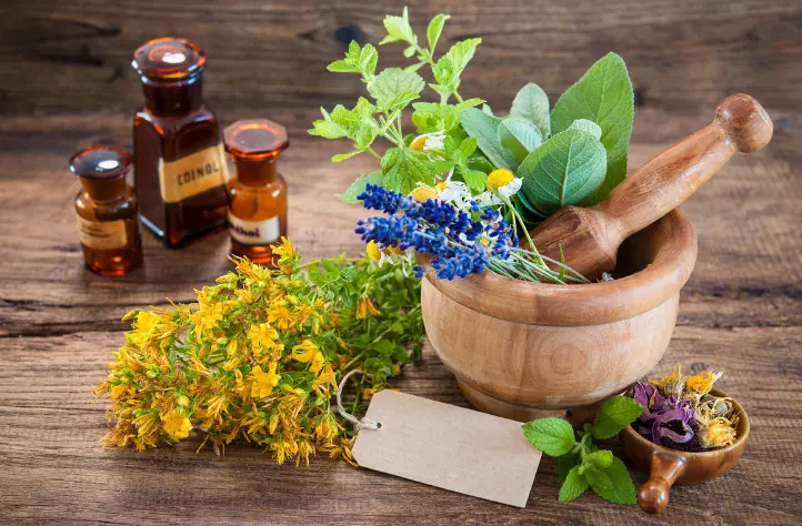 اعشاب التخسيس