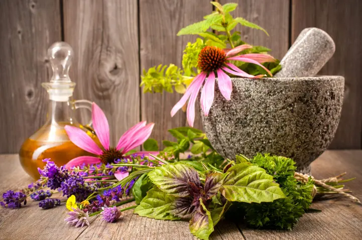 اعشاب التخسيس