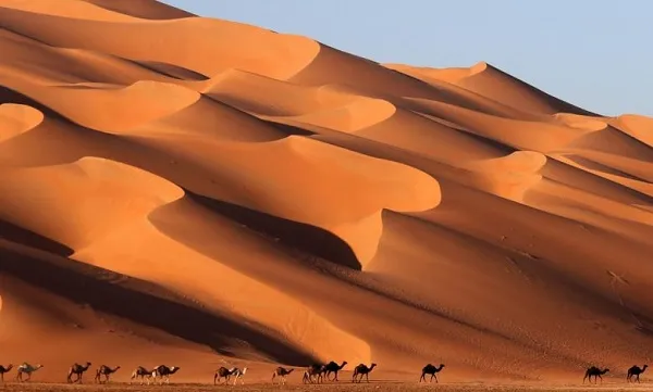 السواط وش يرجع ومن وين