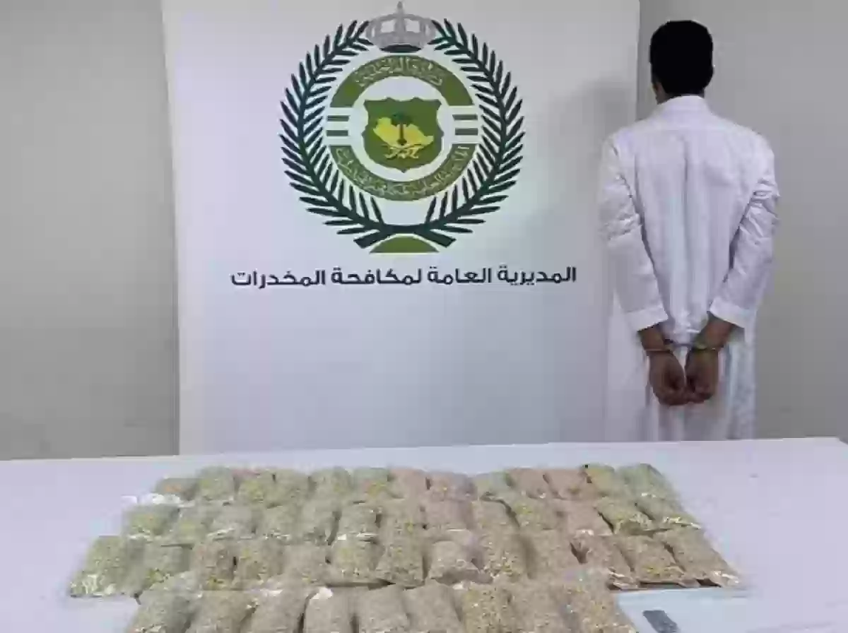 اليكم اهم شروط تقديم مكافحة المخدرات