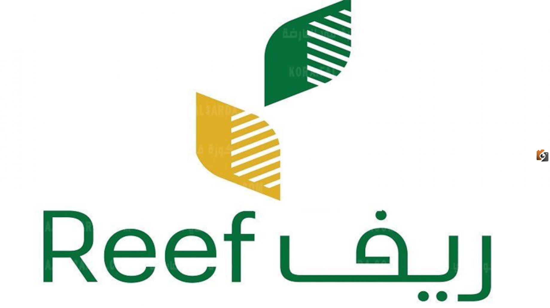 بالسعودية الان.. اهم شروط الدعم الريفي للنساء