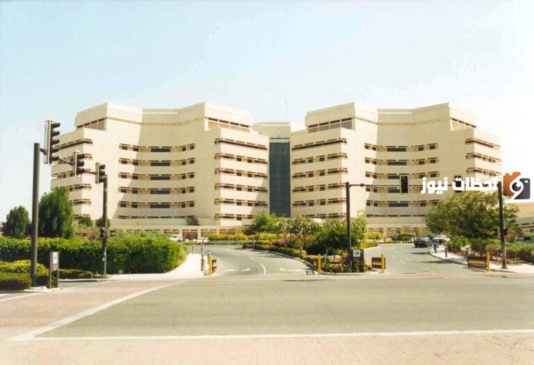 تخصصات السنة التأهيلية جامعة الملك عبدالعزيز