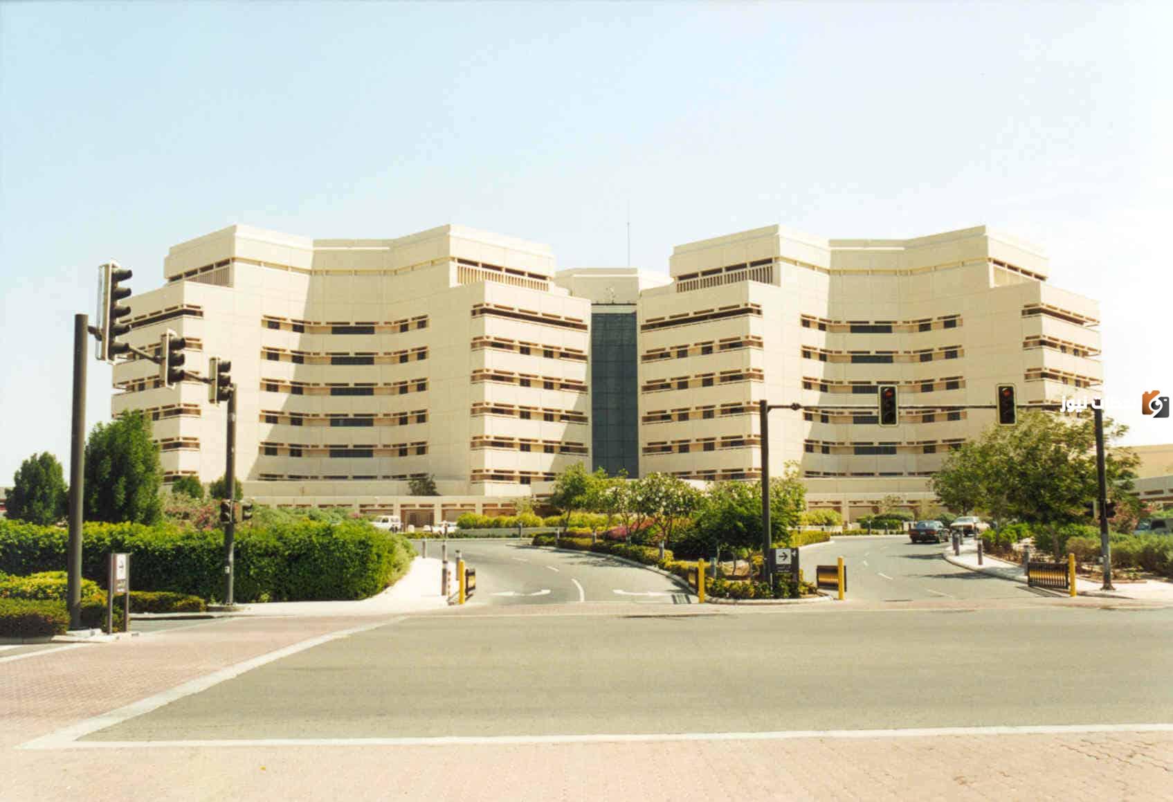 تخصصات السنة التأهيلية جامعة الملك عبدالعزيز