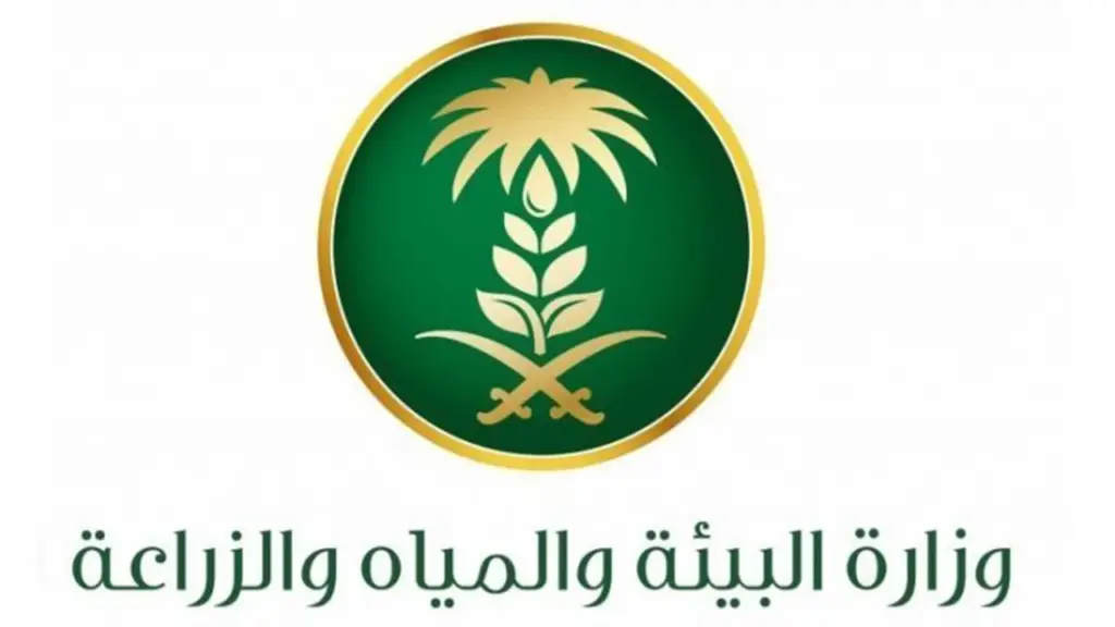 شروط الحصول عليه والأوراق المطلوبة للحصول على الدعم