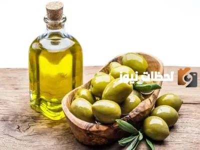 فوائد دهن زيت الزيتون للصدر