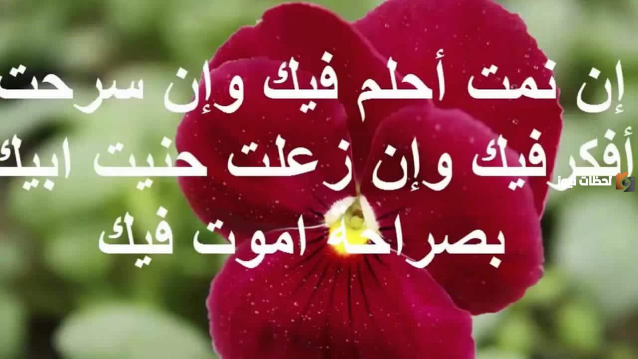 كلام غزل للحبيب بالعاميه مميز