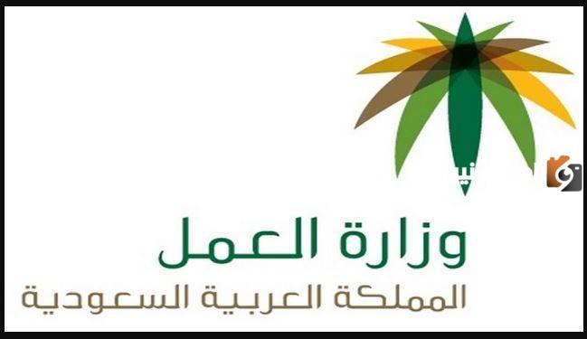 اليكم رابط الاستعلام عن نطاق مؤسسة