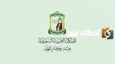 للفتاوي الدينية .. اليكم واتساب دار الافتاء السعودية 1445