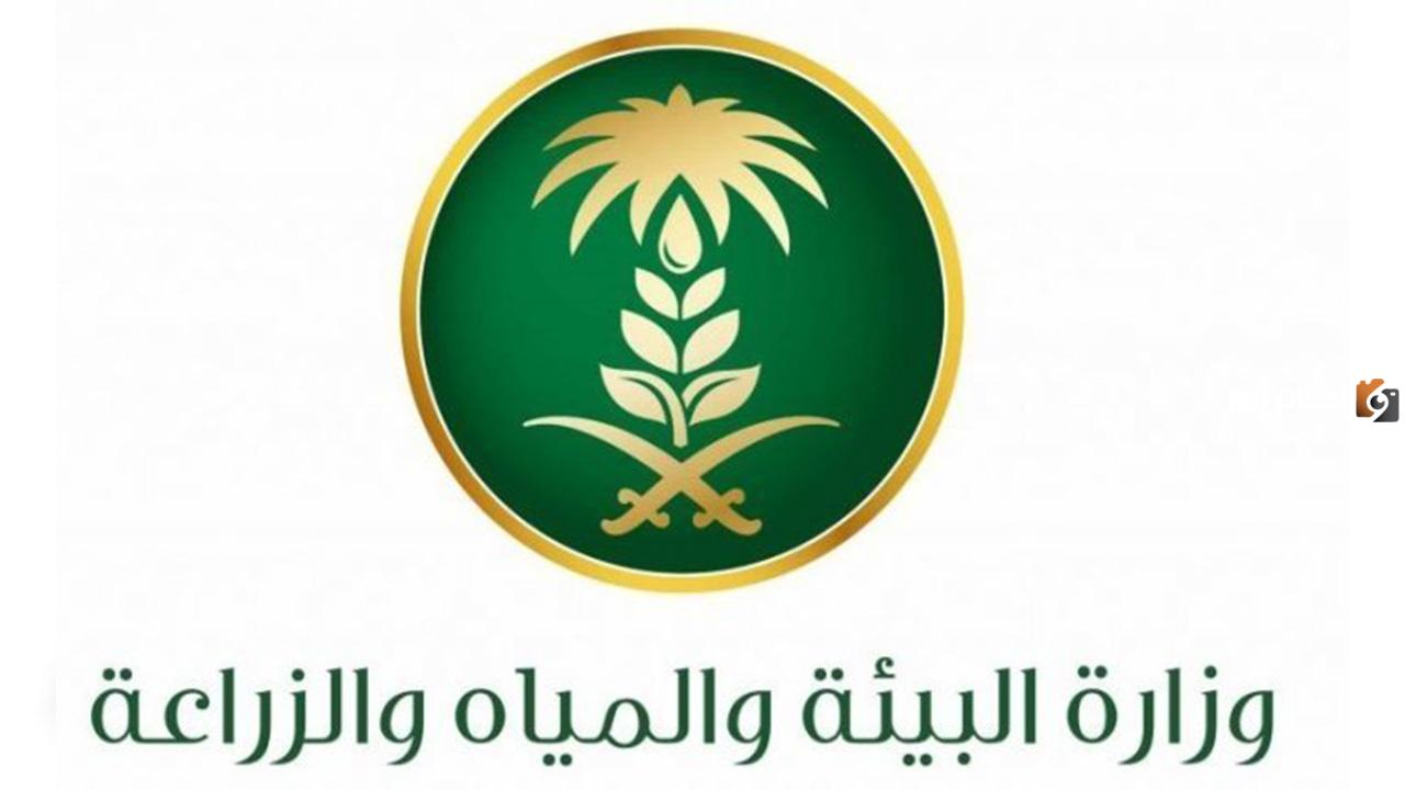 موعد صرف معونة مربي المواشي وحاسبة الدعم