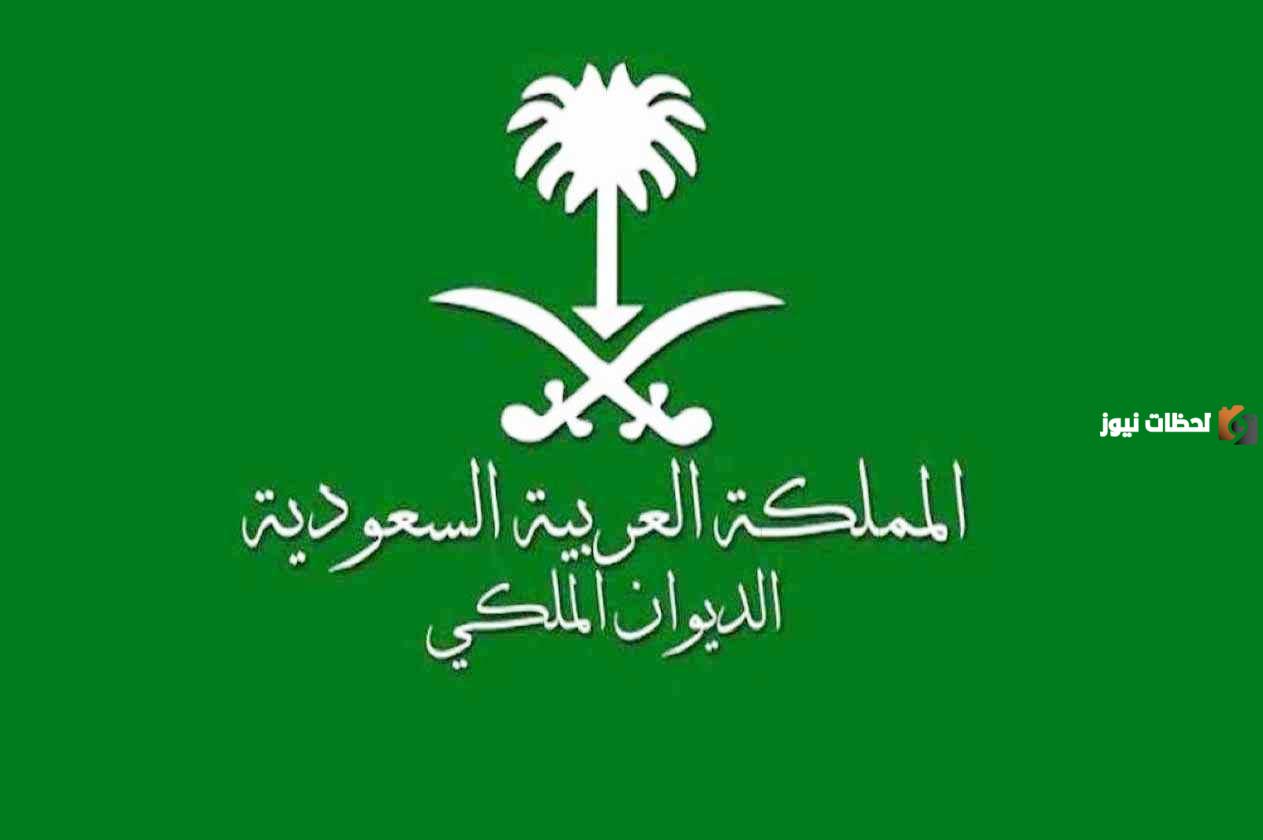 نموذج pdf لطلب مساعدة مالية من الديوان الملكي السعودي 2023