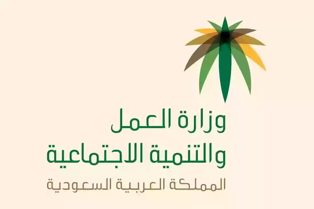 خطوات الاستعلام عن راتب التأهيل الشامل برقم الهوية الوطنية 2025