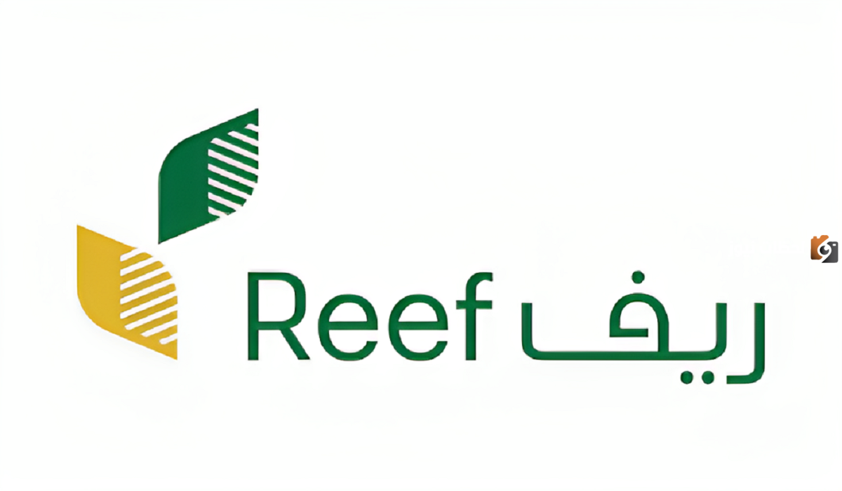 كم مرة يصرف دعم ريف؟.. "البيئة والمياه" توضح
