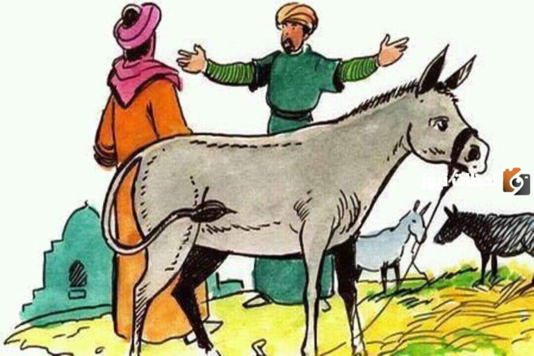 قصة الأب والابن مع الحمار