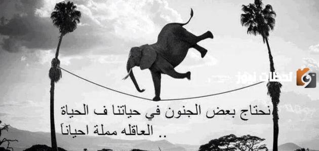 كلمات رائعة عن الحياة قصيرة