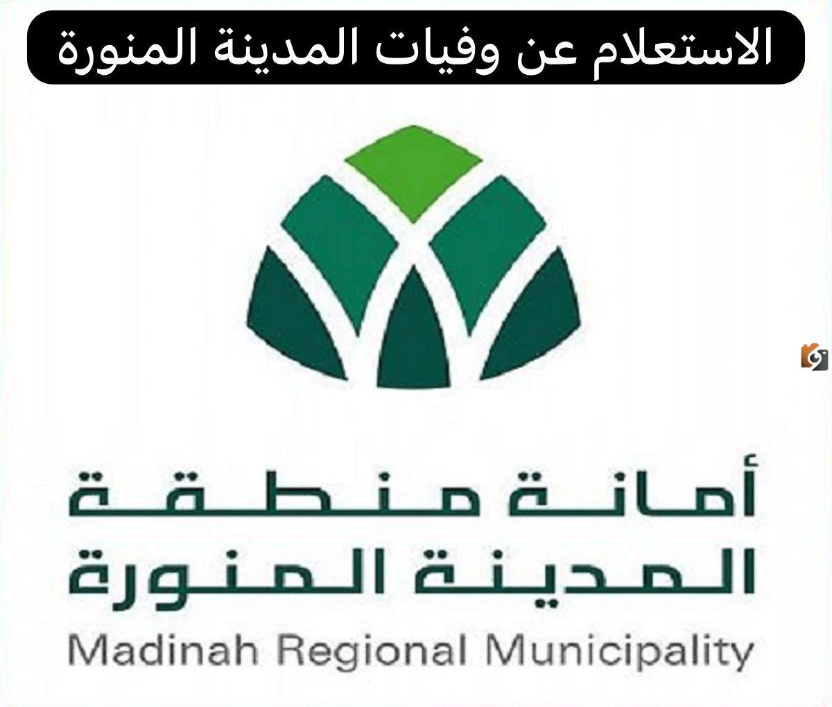 كيف استعلم عن وفيات المدينة المنورة؟ خطوات الاستعلام عن وفيات المدينة المنورة في السعودية عبر أمانة المدينة المنورة