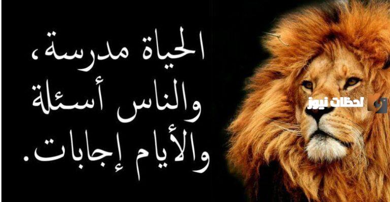 أجمل عبر وحكم عن الحياة