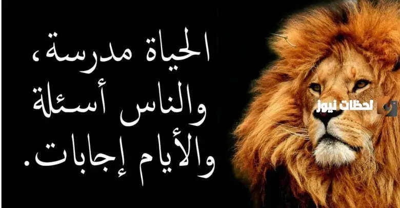 أجمل عبر وحكم عن الحياة