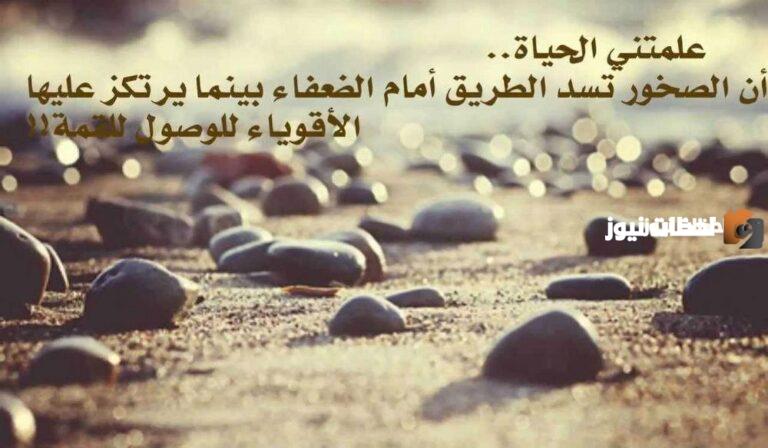 أمثال وحكم عن الحياة والناس