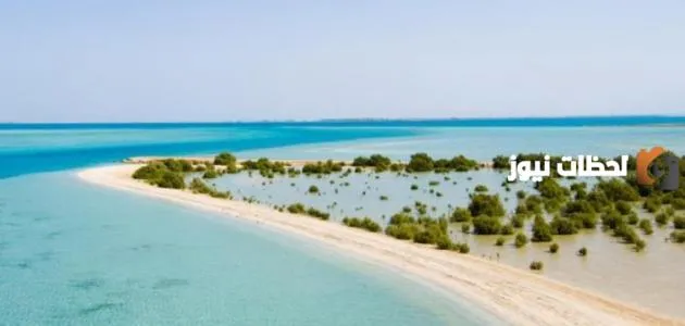 أين تقع جزر فرسان
