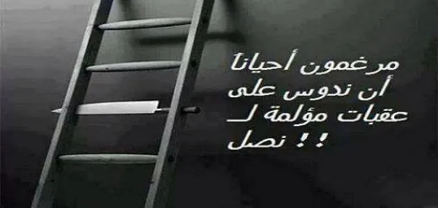 إليكم أفضل 25 حكمة مدرسية عن العلم