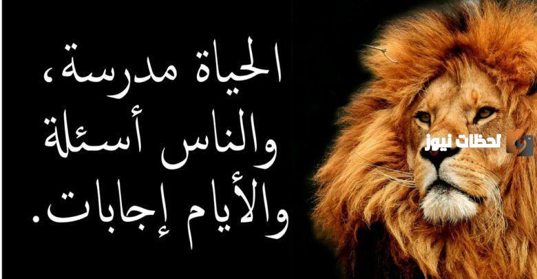 اجمل الحكم عن الحياة قصيرة