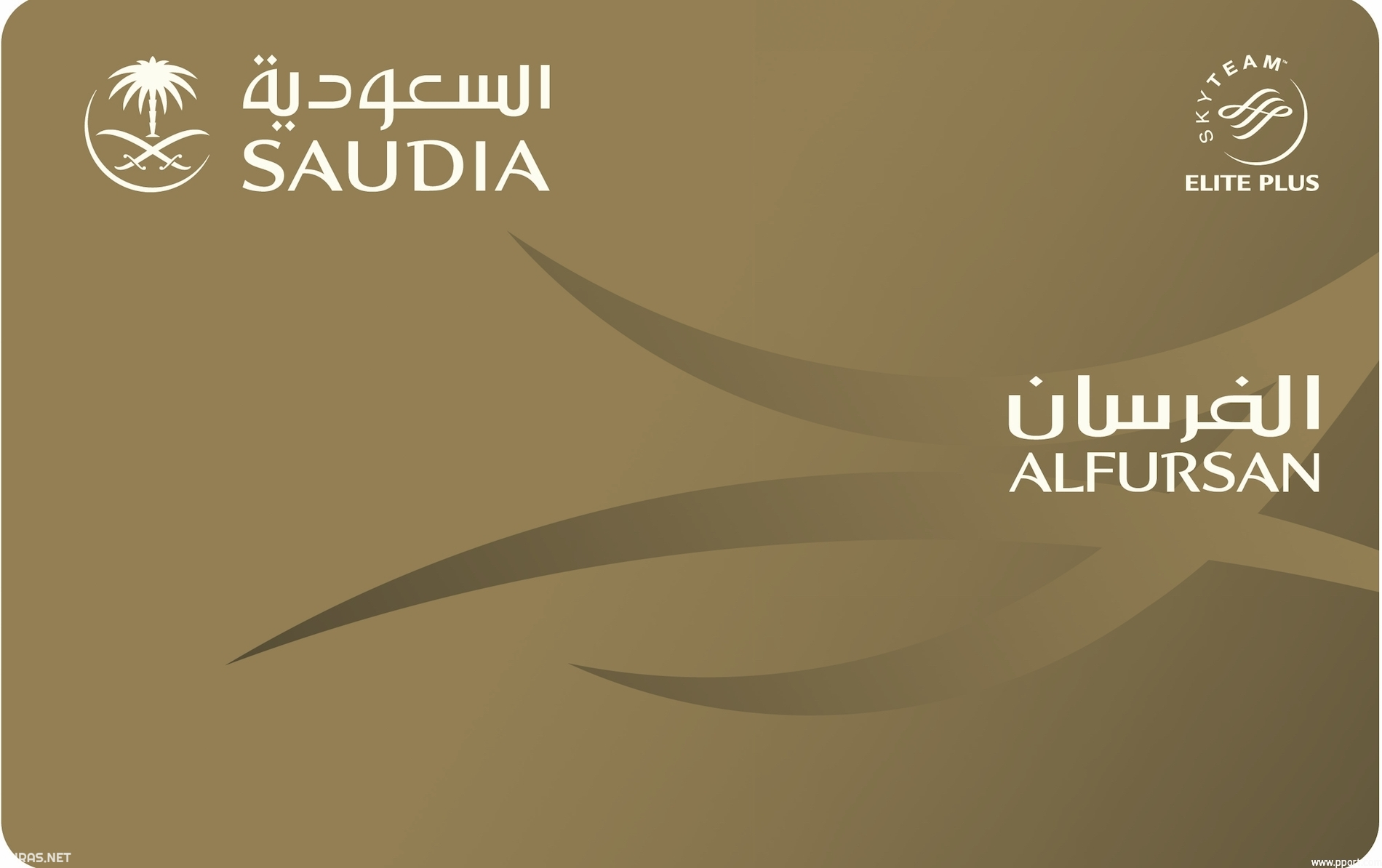 ماذا أفعل إذا نسيت رقم عضوية الفرسان؟.. كيفية استرجاع رقم عضوية الفرسان الخطوط الجوية السعودية 1446