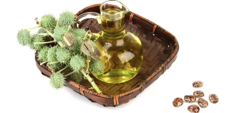 اضرار زيت الخروع للشعر