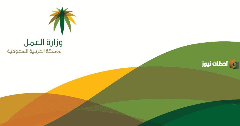 ما هي خطوات الاستعلام عن نطاق المؤسسة برقم الهوية في السعودية 1446 وما هي تصنيفات النطاقات.. الموارد البشرية تجيب