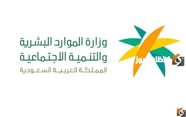 الاستعلام عن راتب التأهيل الشامل .. الشروط والخطوات المطلوبة 2025