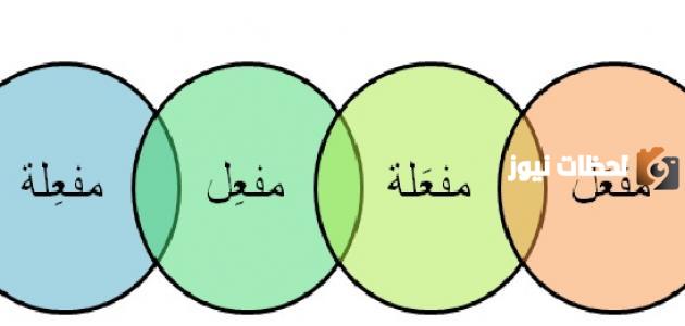 الفرق بين المصدر والفعل