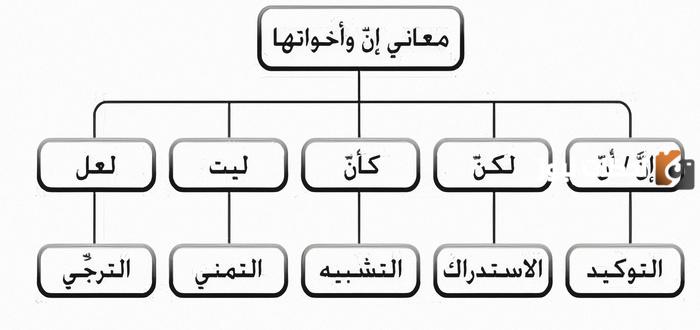 الفرق بين ليت ولعل
