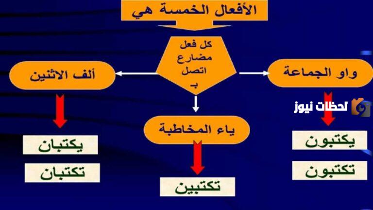 تعلم الفرق بين الأفعال الناسخة والحروف الناسخة وأمثلة عليها