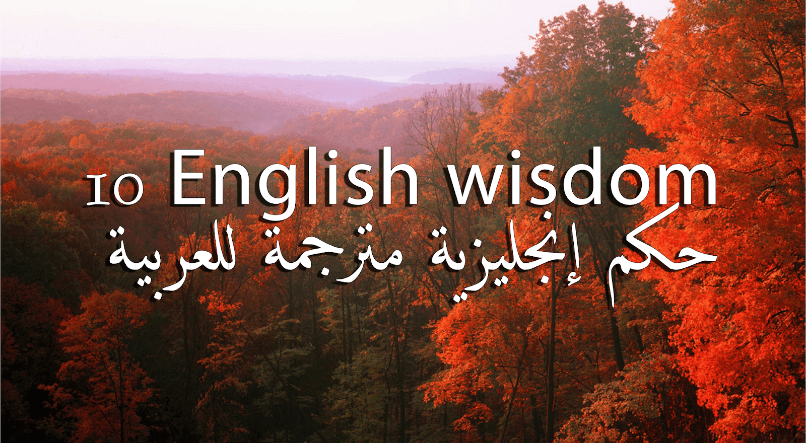 حكم إنجليزية مترجمة في جميع جوانب الحياة