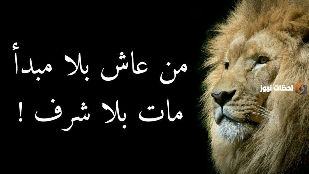 حكم عالمية عن الحياة والناس