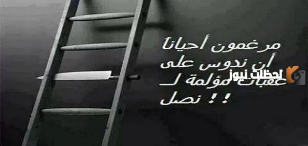 حكم عن الفشل للتعليم