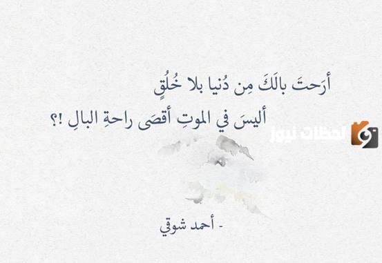حكم عن النوم قصيرة ومميزة