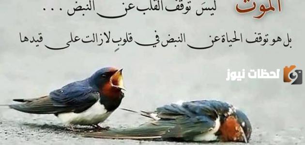 حكم كلام جميل وقصير عن الحياة