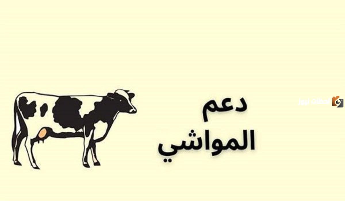 خطوات الاستعلام عن دعم الثروة الحيوانية 1446