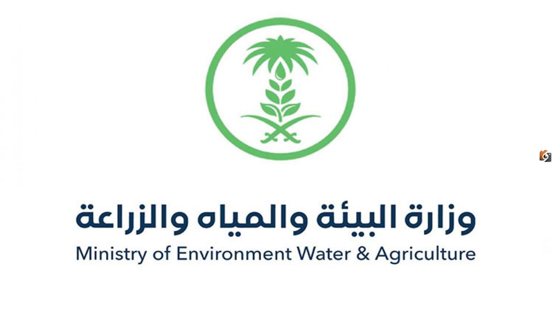 خطوات دعم المواشي إلكترونيًا من خلال وزارة البيئة والمياه والزراعة
