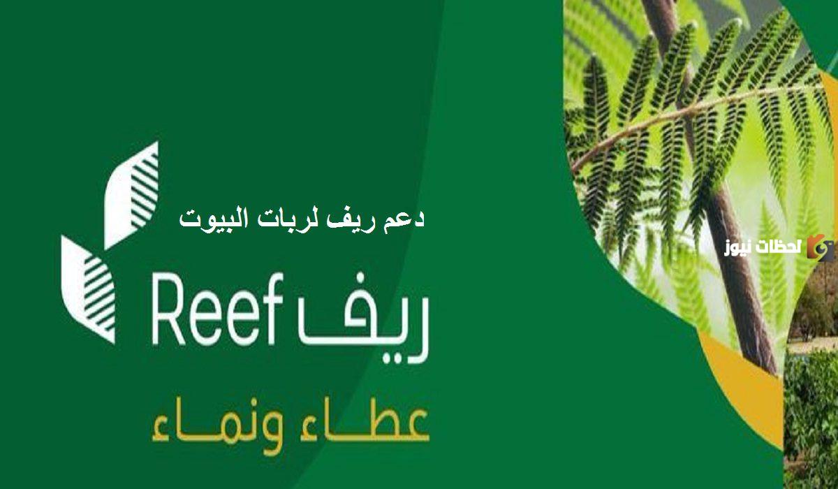 وزارة البيئة والمياه والزراعة توضح شروط التسجيل في دعم ريف وخطوات التسجيل في البرنامج إلكترونيا