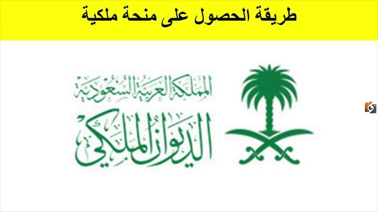 كيف احصل على منحة أرض من الديوان الملكي؟ خطوات طلب منحة أرض مجانية من الديوان الملكي وشروط تقديم الطلب