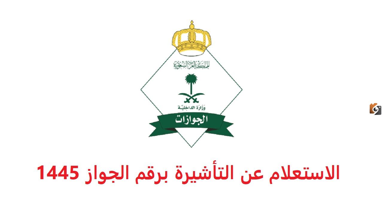 طريقة الاستعلام عن الجوازات المؤشرة برقم الجواز 1445 وأهم شروط إصدار التأشيرة